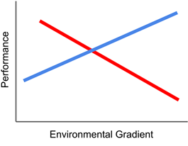 Graph Cow Performance GxE 2